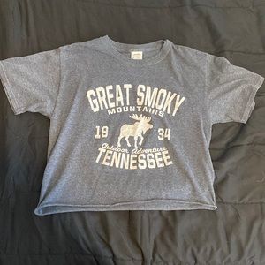 Great Smokey Mountains Cropped Tee, Size Small, Fruit of The Loom